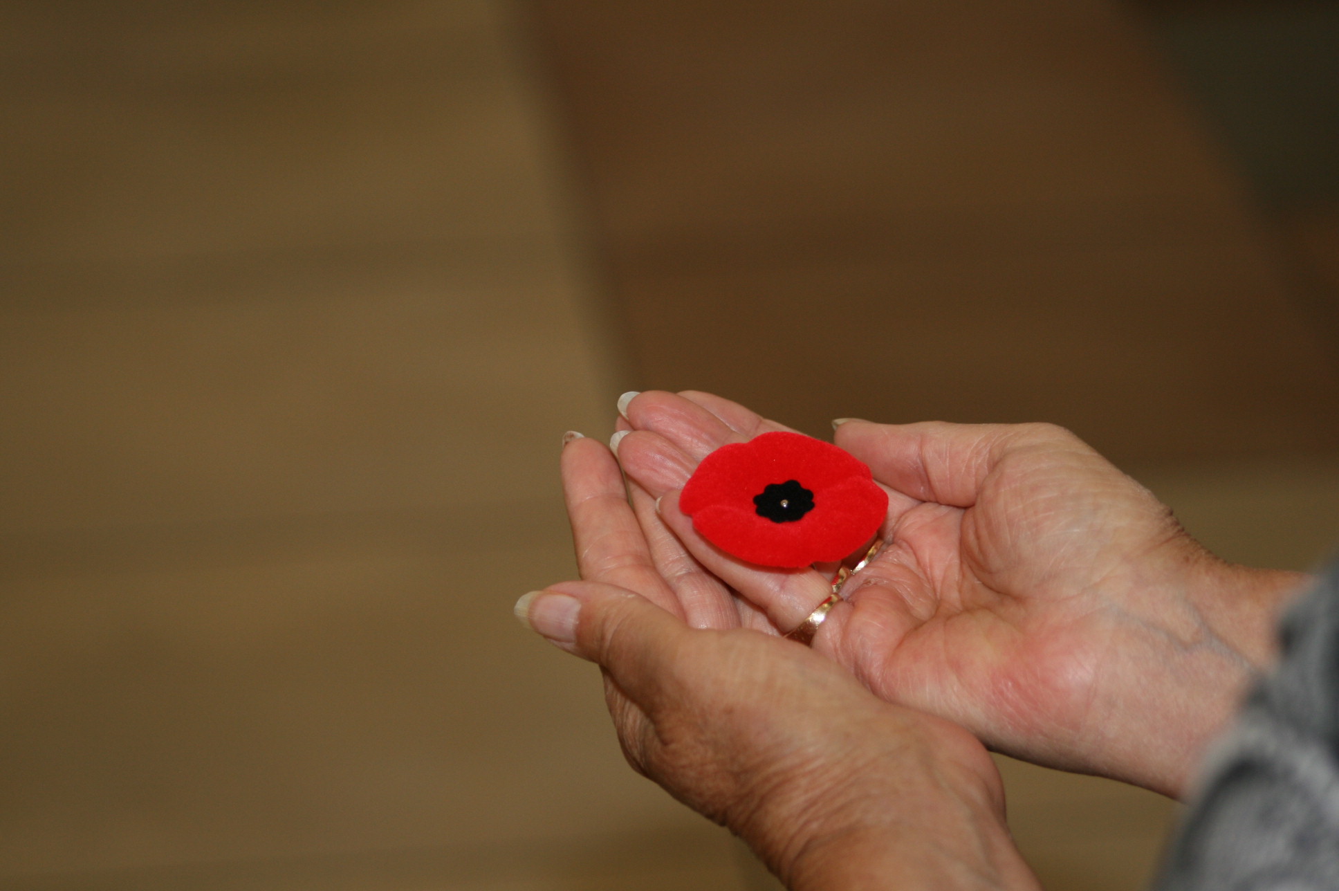 Poppy in the hands of a resident